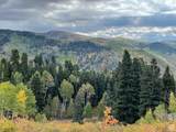 56 K Quaking Pine Cir - Photo 11