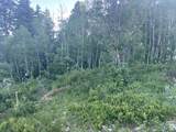 56 K Quaking Pine Cir - Photo 16