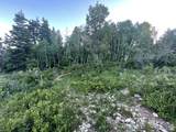 56 K Quaking Pine Cir - Photo 17