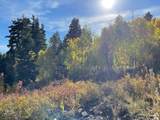56 K Quaking Pine Cir - Photo 19