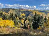 56 K Quaking Pine Cir - Photo 21