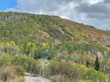 56 K Quaking Pine Cir - Photo 10
