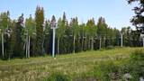 8 Elk - Photo 6