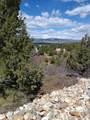 12665 Cedar Ridge Dr - Photo 1