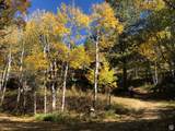51 Aspen Loop - Photo 37