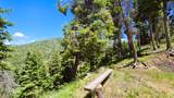 13081 14575 N PINE CREEK ACRES - Photo 56
