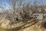 2420 Orchard Dr - Photo 34