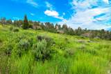  Green Canyon Rd - Photo 3