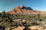 2566 Anasazi Way - Photo 2