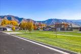 275 60 - Photo 33