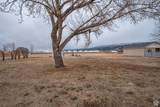 5520 500 - Photo 42