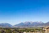 1186 Wildflower Cir - Photo 13