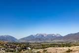 1186 Wildflower Cir - Photo 6