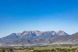 1186 Wildflower Cir - Photo 7