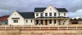 1117 Terrel Dr - Photo 8