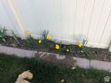 3488 Fairway Ln - Photo 6