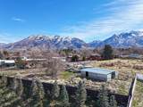 1325 Milne Ln - Photo 12