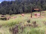 1 Fork County Rd - Photo 21