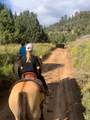 1 Fork County Rd - Photo 22