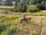 1 Fork County Rd - Photo 23