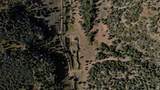 1 Fork County Rd - Photo 27