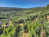 309 White Pine Canyon Rd - Photo 14