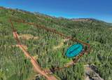309 White Pine Canyon Rd - Photo 3