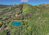 309 White Pine Canyon Rd - Photo 6