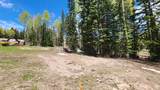 2 Elk - Photo 2