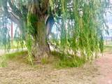 1568 750 - Photo 25