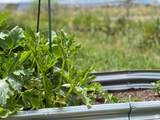 1568 750 - Photo 28