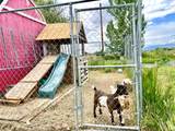 1568 750 - Photo 32