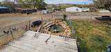 1433 2060 - Photo 51
