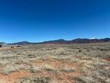 4951 Kane Springs Rd - Photo 1