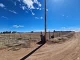 46293 5000 - Photo 109