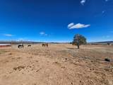 46293 5000 - Photo 111