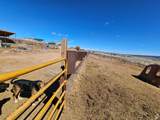 46293 5000 - Photo 130