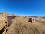 46293 5000 - Photo 131