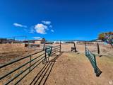 46293 5000 - Photo 138