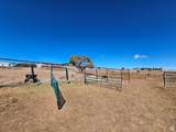 46293 5000 - Photo 139