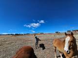 46293 5000 - Photo 140