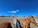 46293 5000 - Photo 141