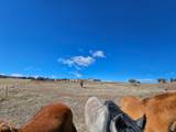 46293 5000 - Photo 142