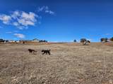 46293 5000 - Photo 143