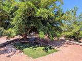 1436 Spanish Valley Dr - Photo 29