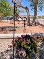 1436 Spanish Valley Dr - Photo 30