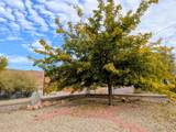 1436 Spanish Valley Dr - Photo 32