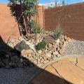 3150 Fuchsia Dr - Photo 28