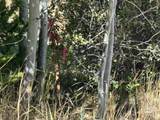 498 Cold Springs Dr - Photo 15