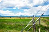 525 220 - Photo 8